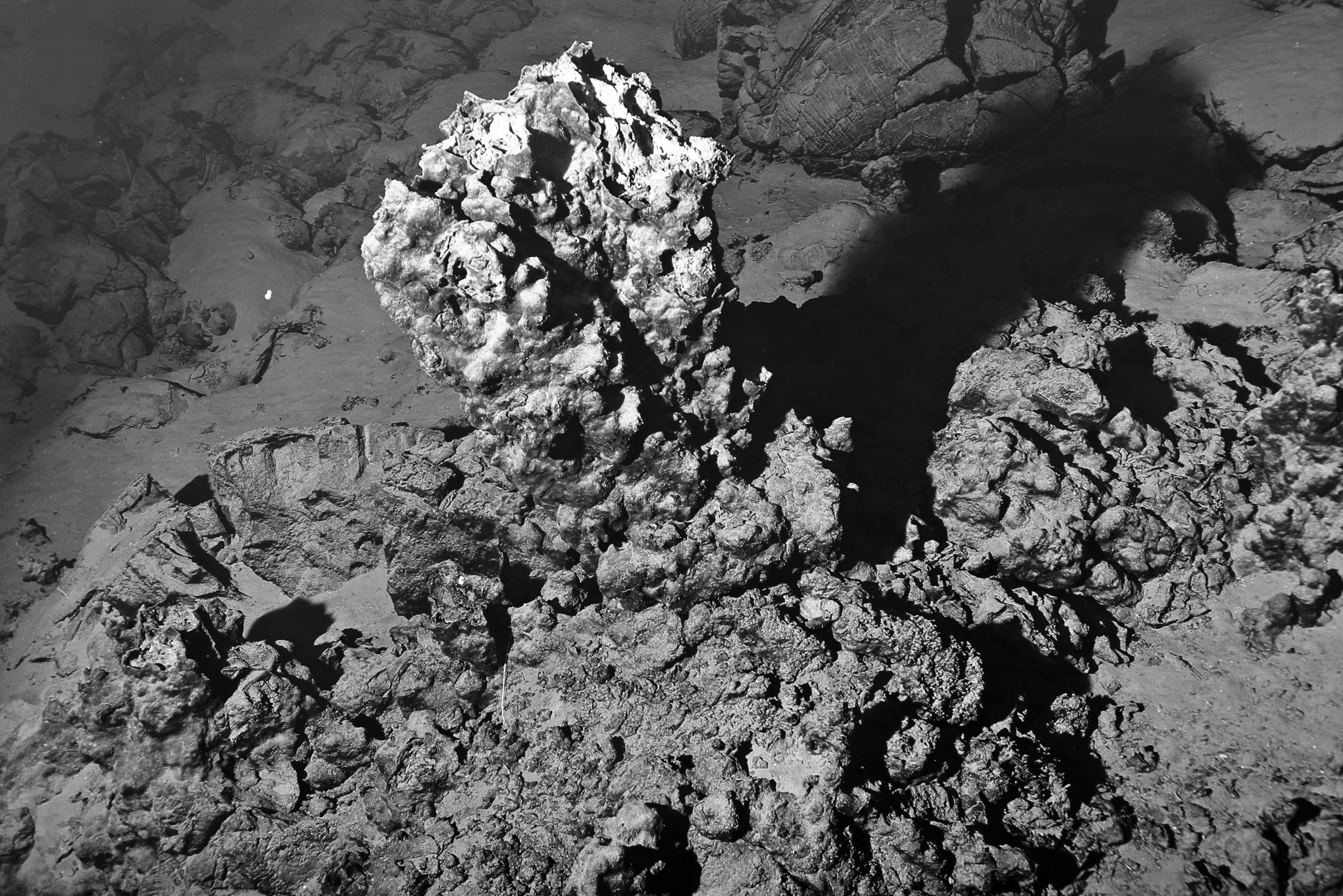Cheminée hydrothermale dans le Pacifique sud-ouest